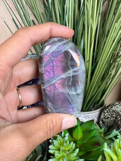 Sunset Labradorite Freeform - Purple Door Alchemy