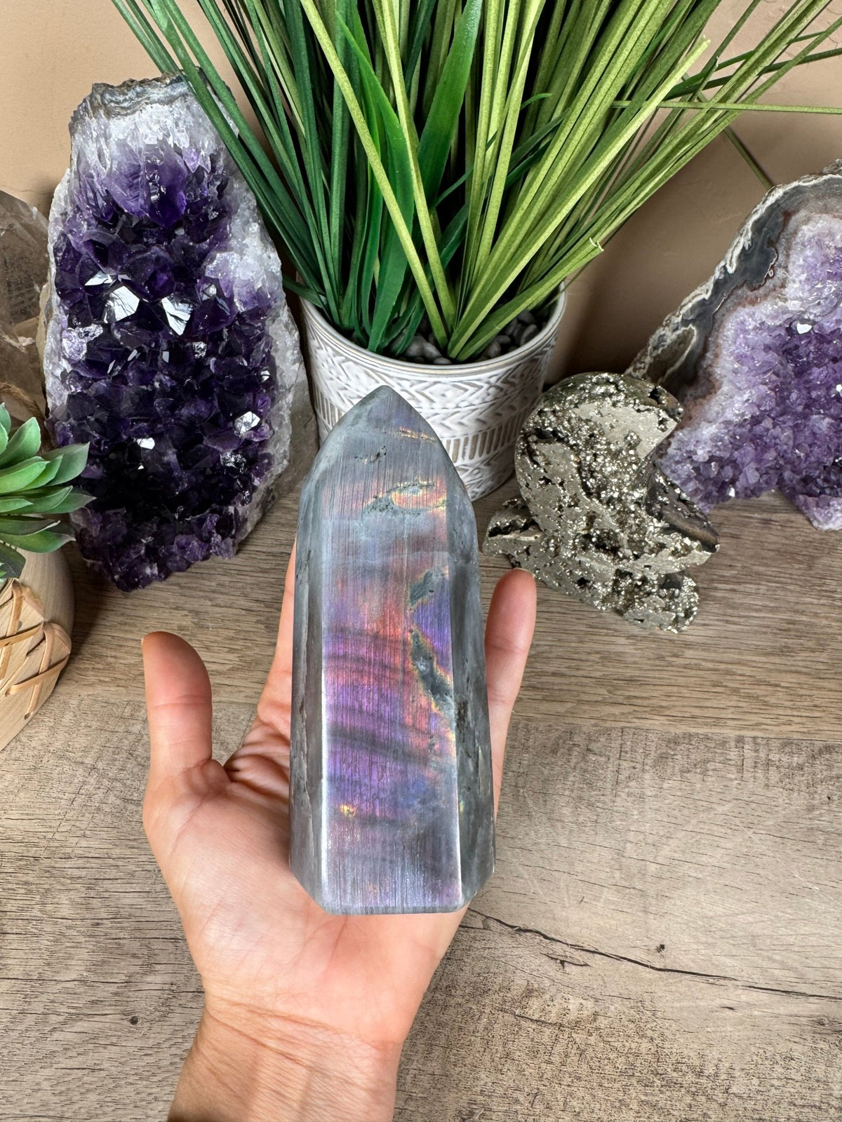 Sunset Labradorite Point 5in - Purple Door Alchemy