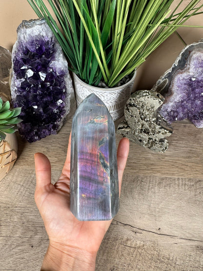 Sunset Labradorite Point 5in - Purple Door Alchemy