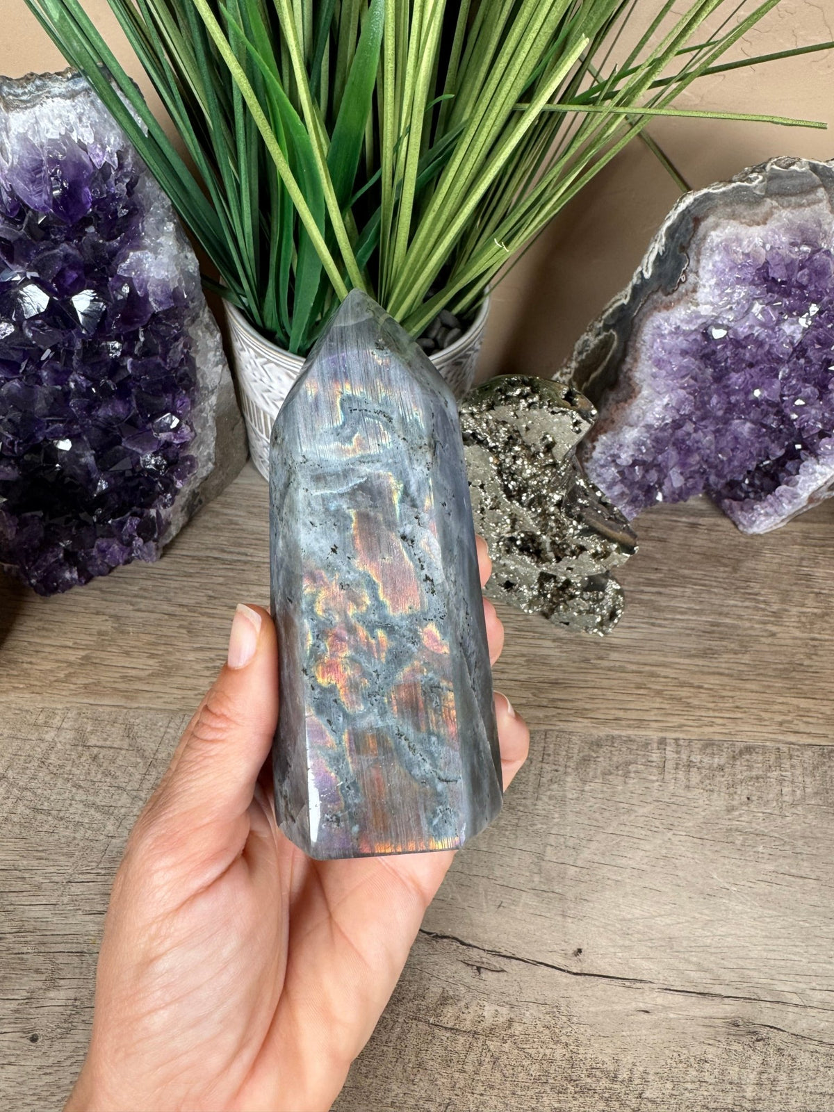 Sunset Labradorite Point 5in - Purple Door Alchemy