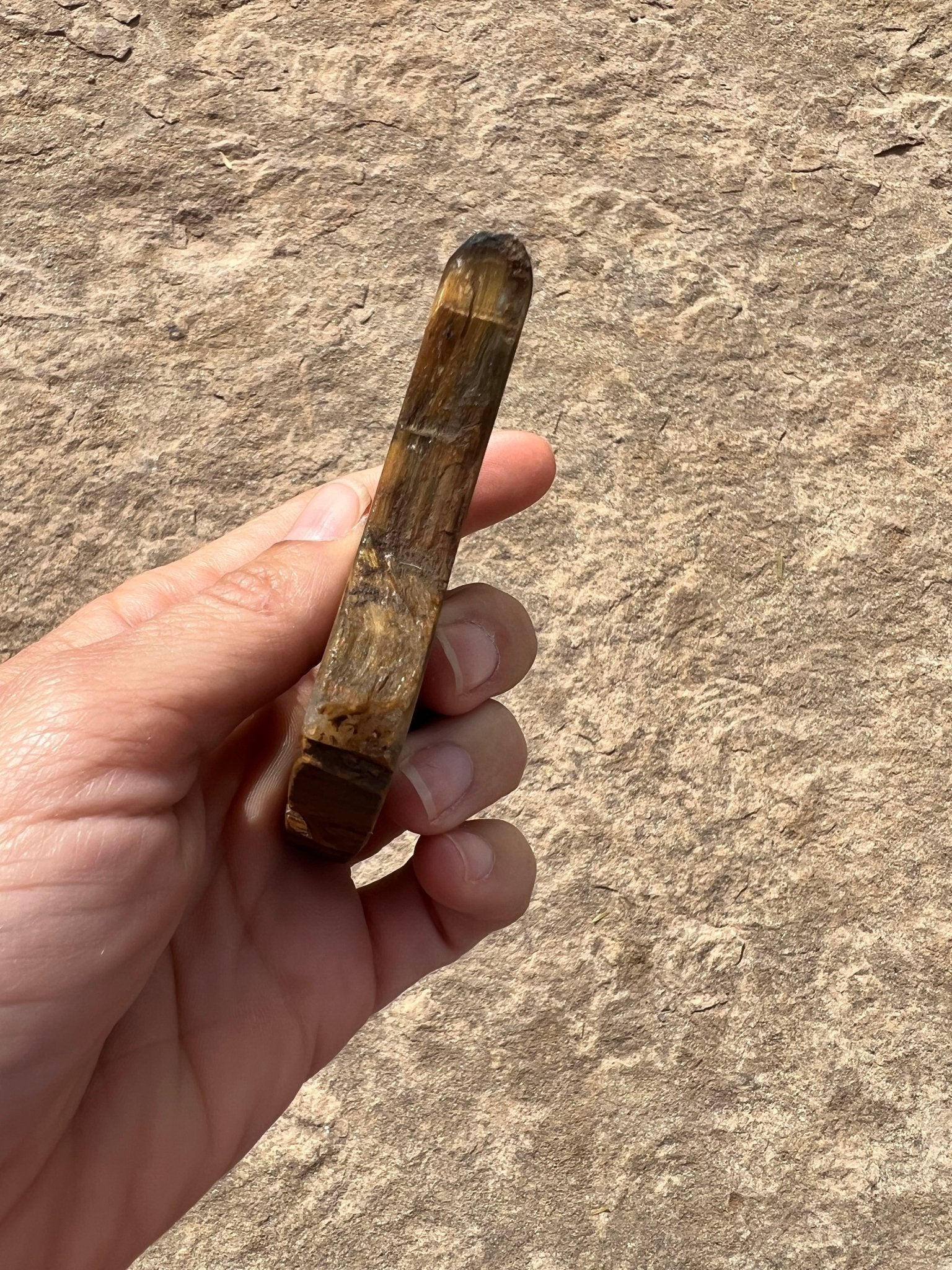 Tigers Eye Slab 108g - Purple Door Alchemy