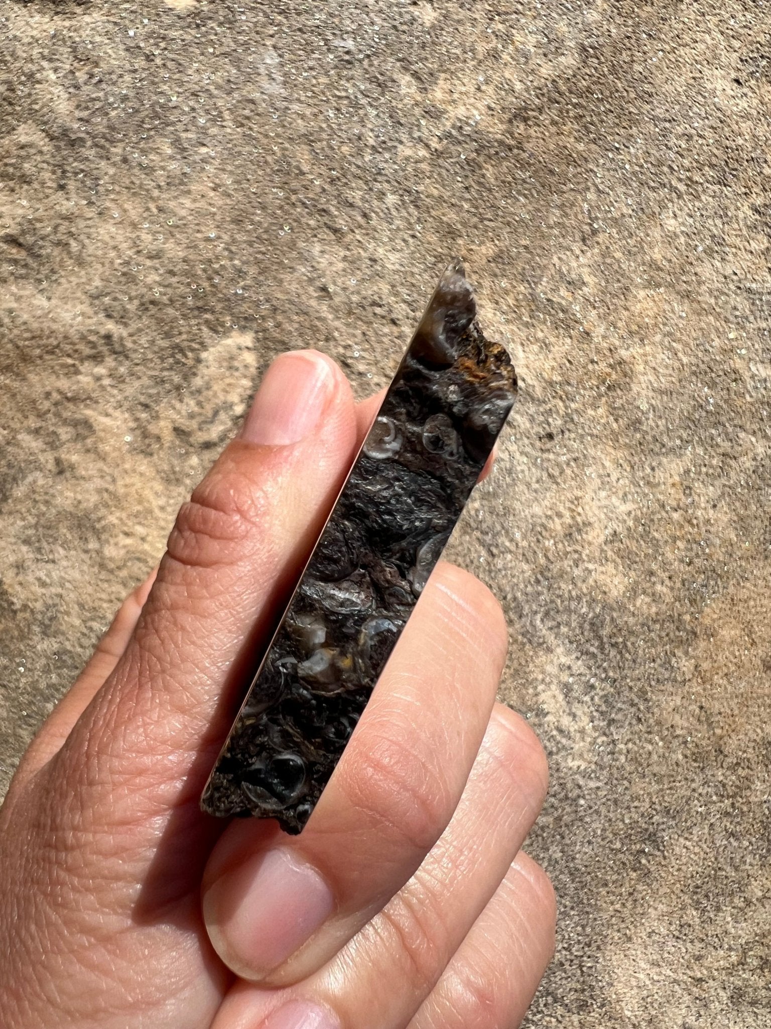 Turritella Fossil Agate Slab 48g - Purple Door Alchemy