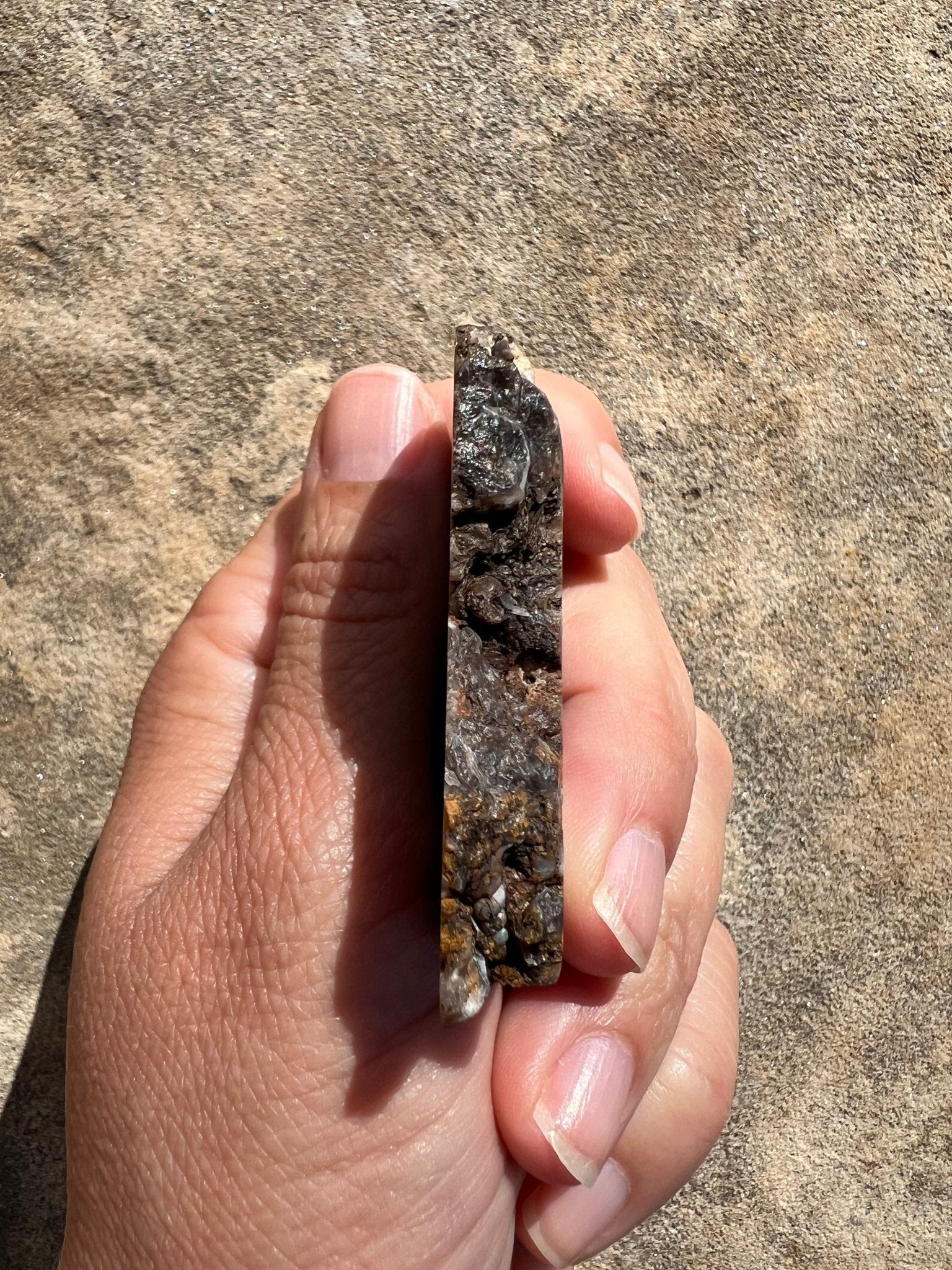 Turritella Fossil Agate Slab 48g - Purple Door Alchemy