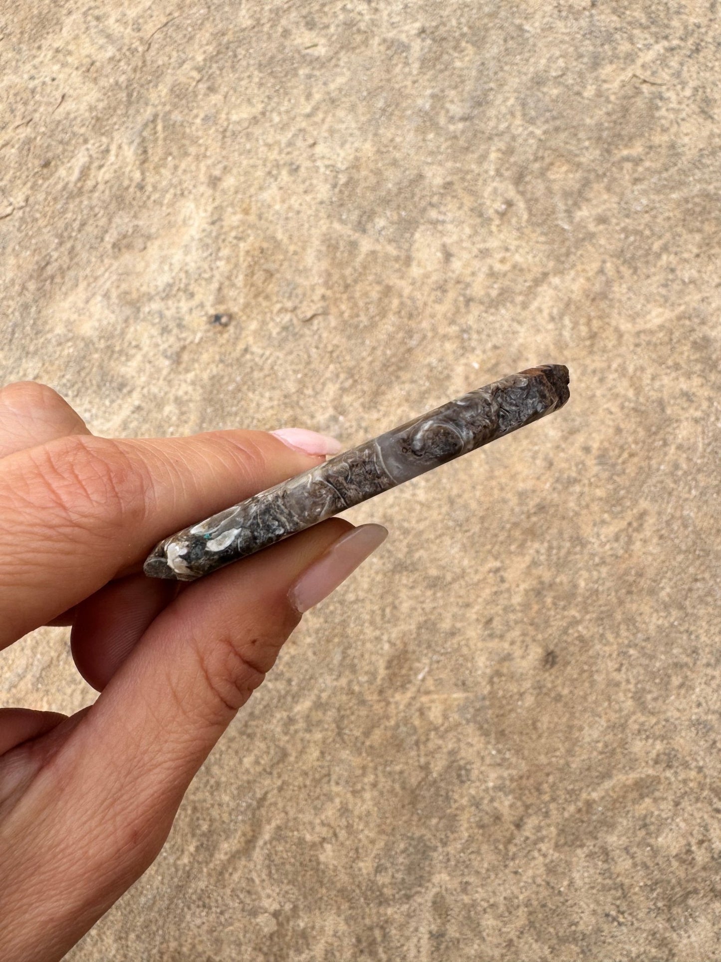 Turritella Fossil Agate Slab 53g - Purple Door Alchemy