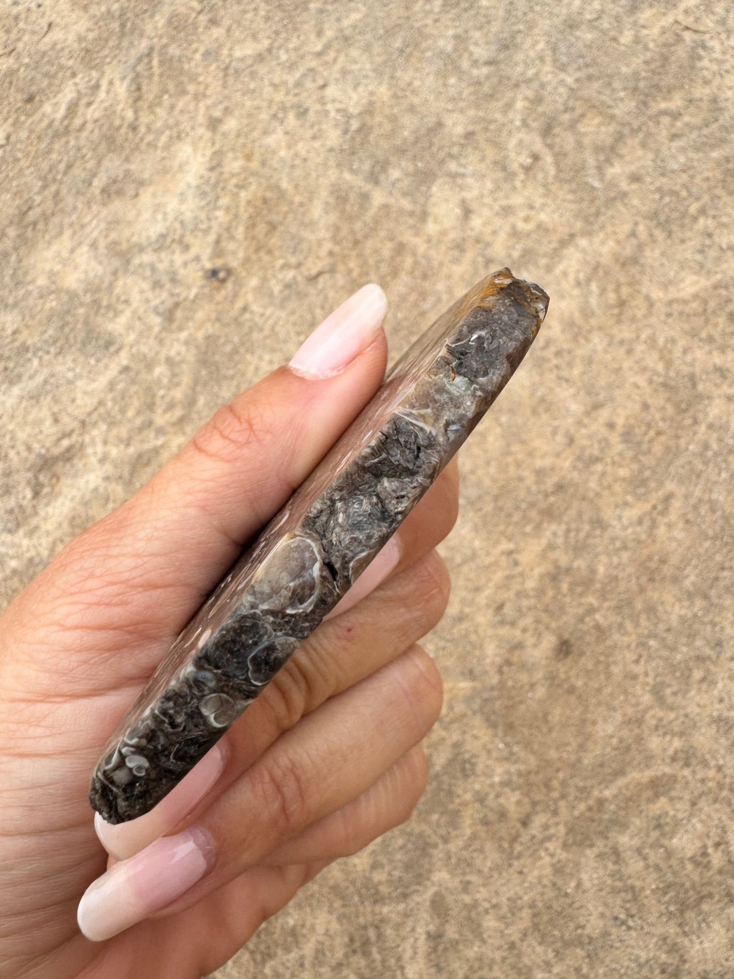 Turritella Fossil Agate Slab 53g - Purple Door Alchemy