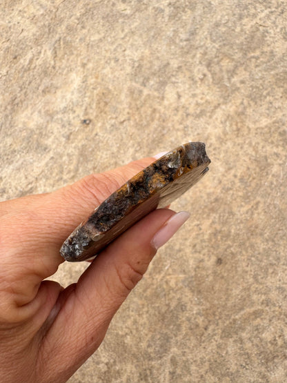 Turritella Fossil Agate Slab 53g - Purple Door Alchemy