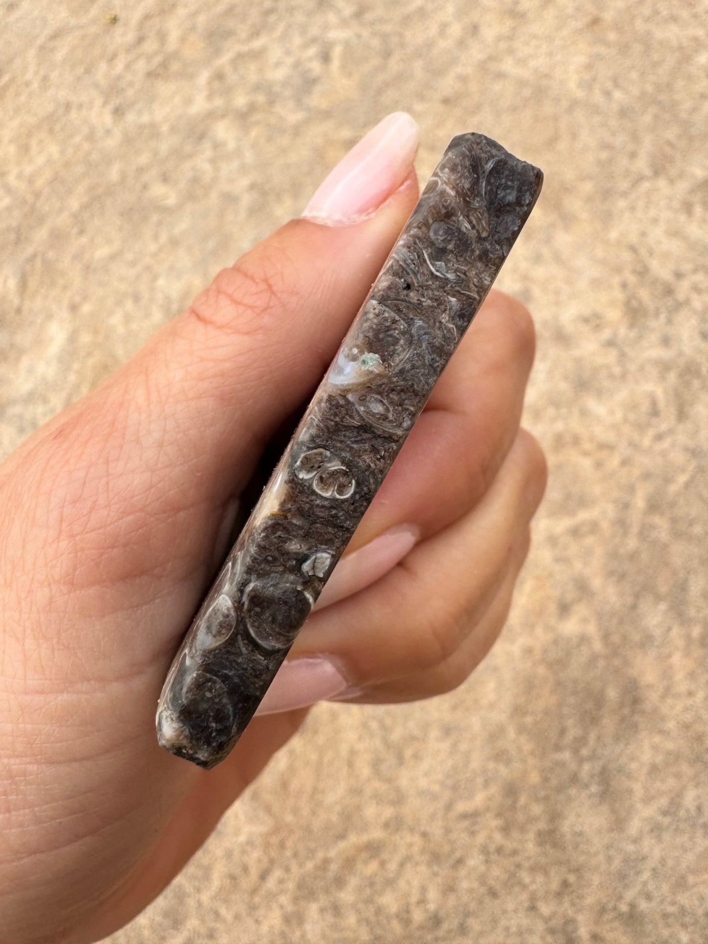 Turritella Fossil Agate Slab 55g - Purple Door Alchemy