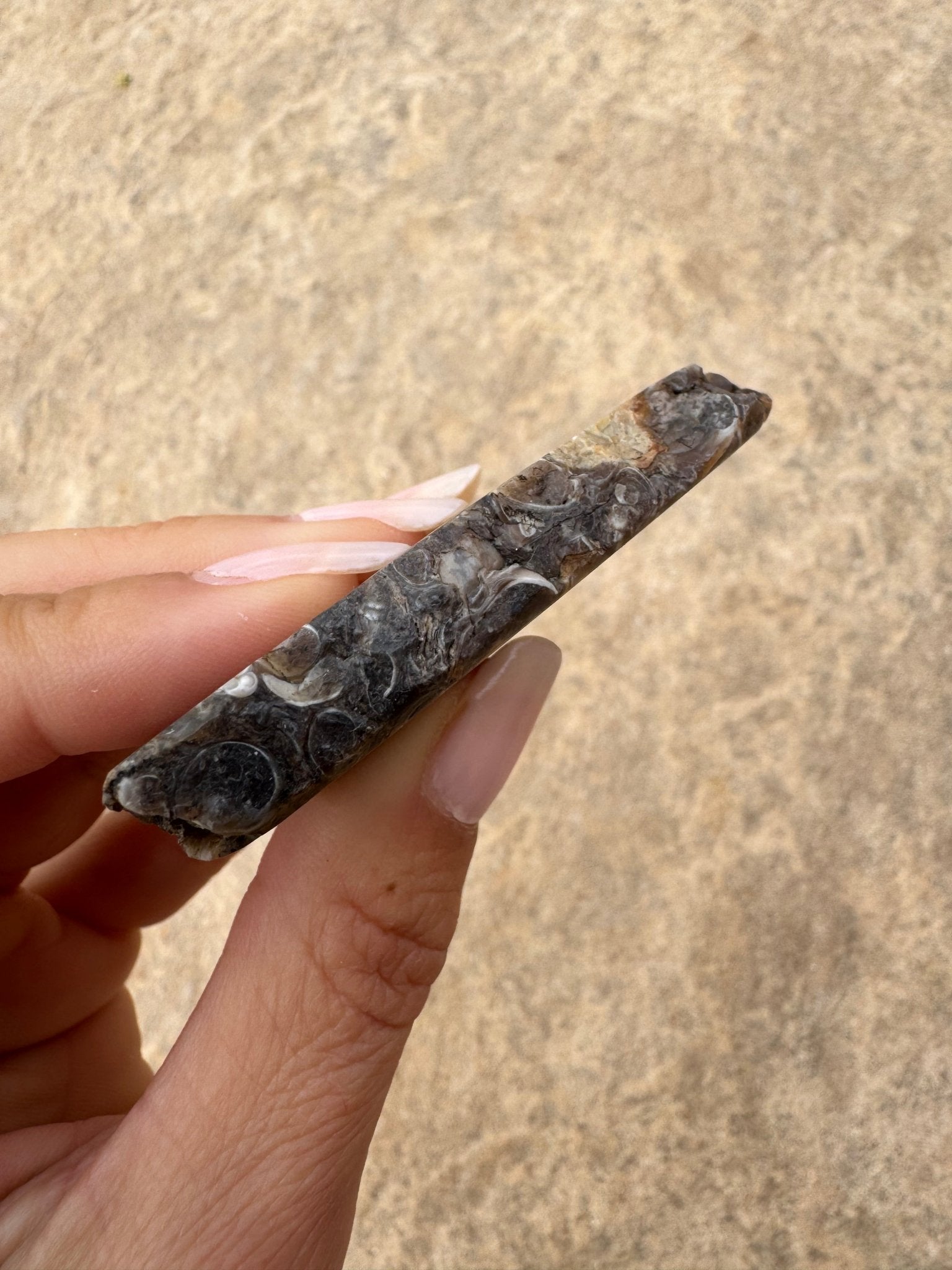 Turritella Fossil Agate Slab 55g - Purple Door Alchemy