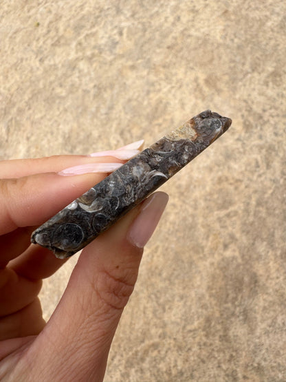 Turritella Fossil Agate Slab 55g - Purple Door Alchemy