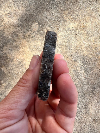 Turritella Fossil Agate Slab 60g - Purple Door Alchemy