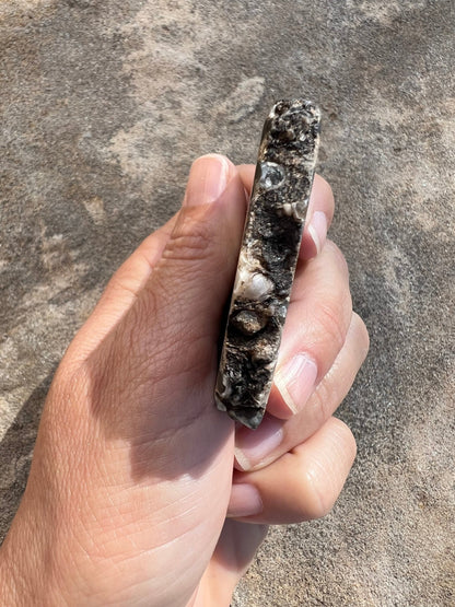 Turritella Fossil Agate Slab 60g - Purple Door Alchemy