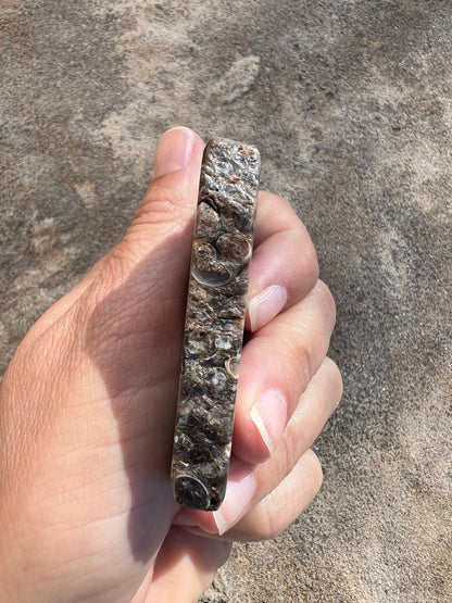 Turritella Fossil Agate Slab 60g - Purple Door Alchemy