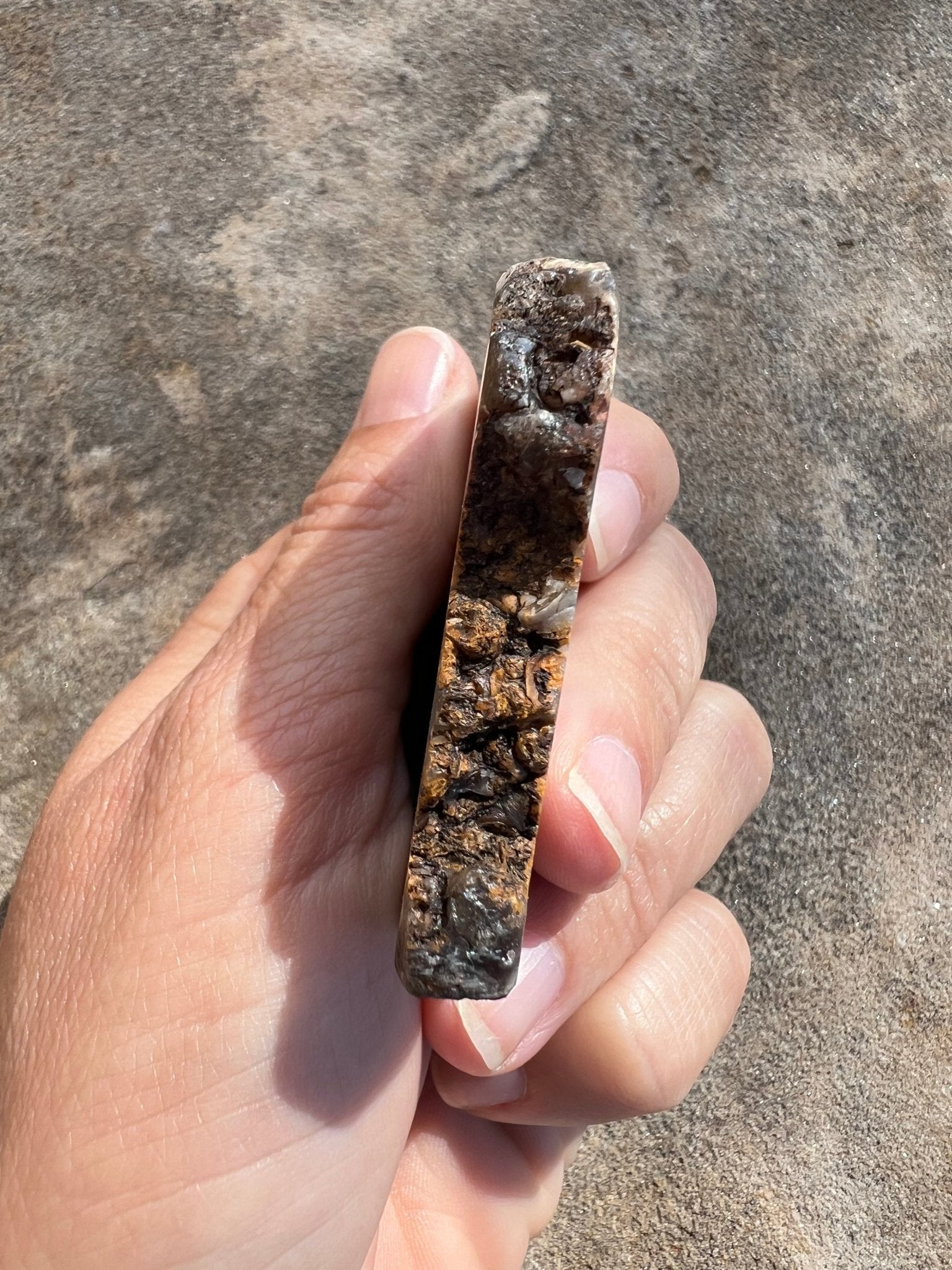 Turritella Fossil Agate Slab 60g - Purple Door Alchemy