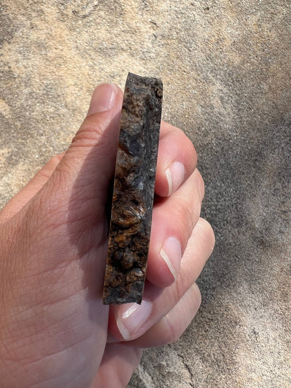 Turritella Fossil Agate Slab 60g - Purple Door Alchemy