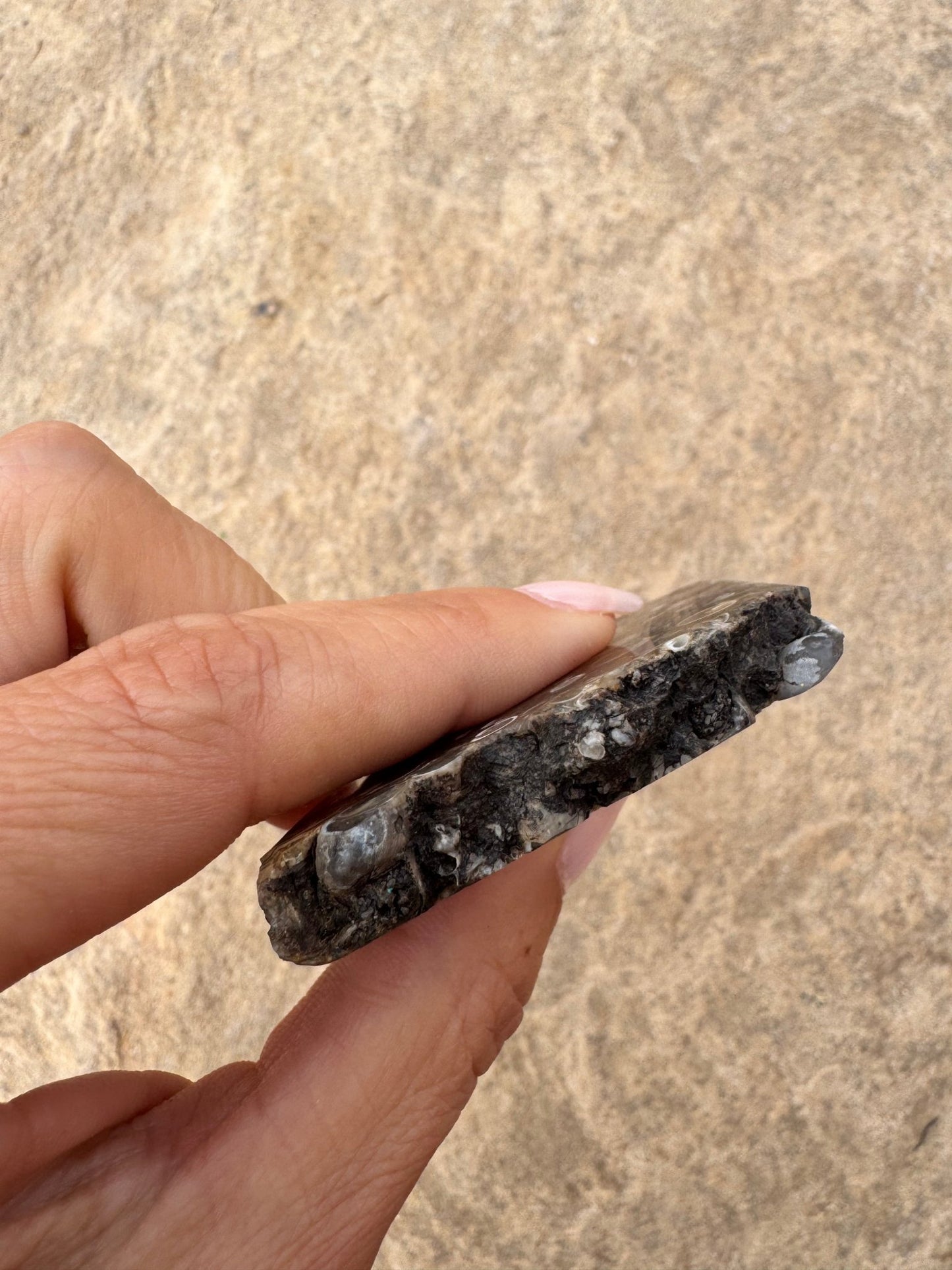 Turritella Fossil Agate Slab 63g - Purple Door Alchemy