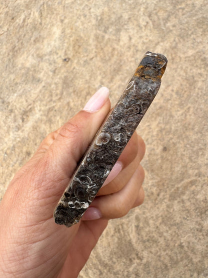 Turritella Fossil Agate Slab 63g - Purple Door Alchemy