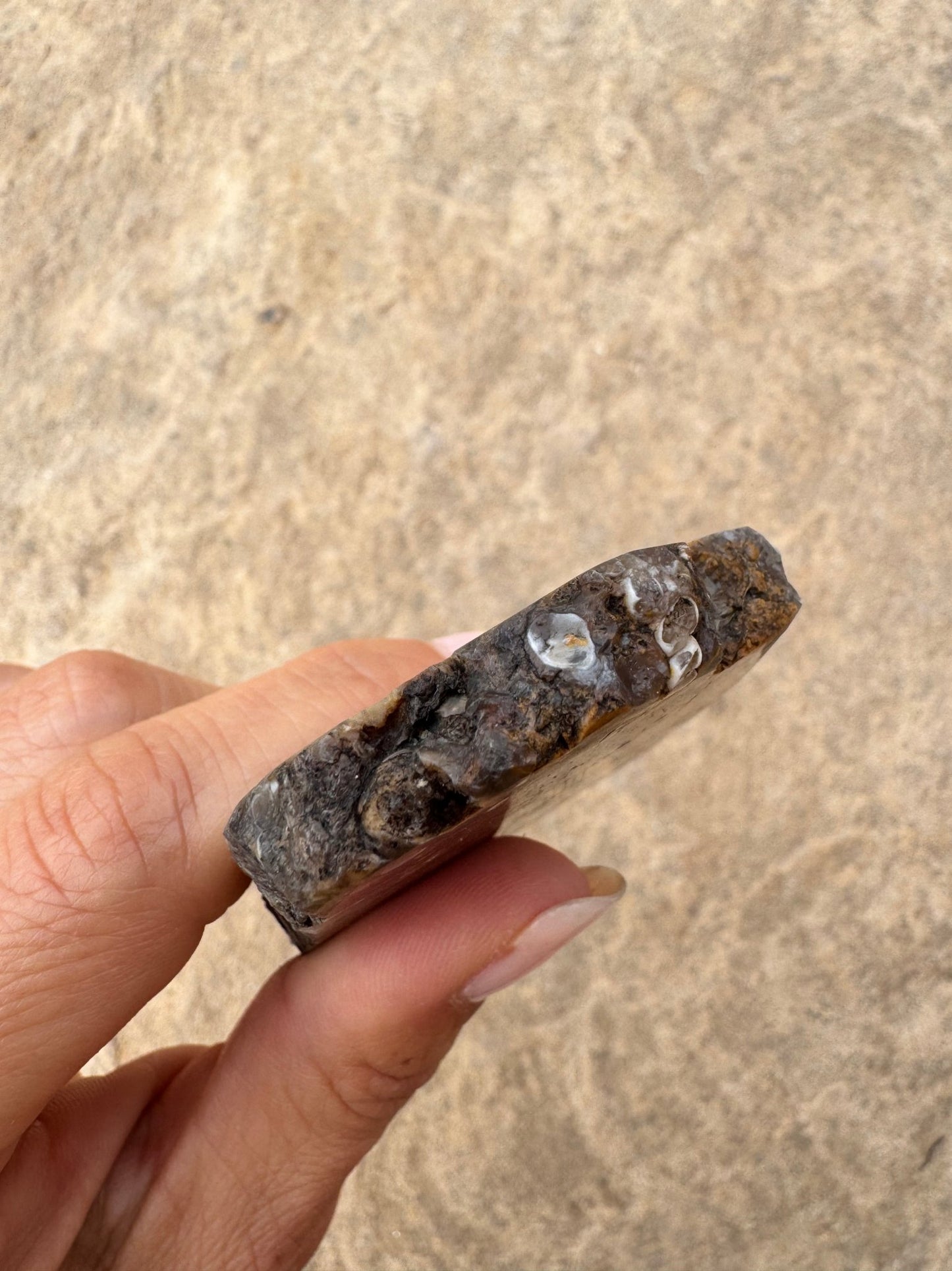 Turritella Fossil Agate Slab 63g - Purple Door Alchemy
