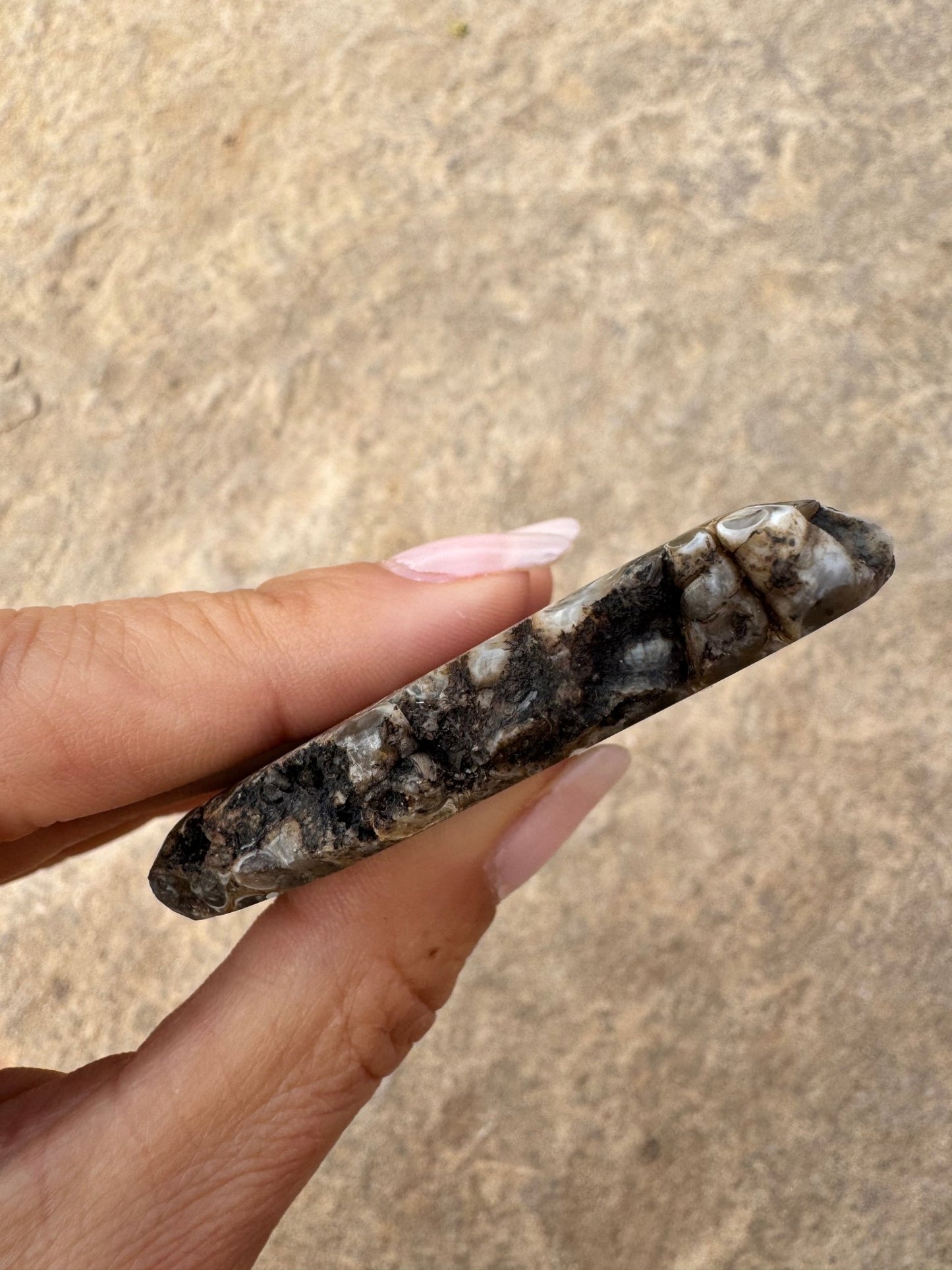 Turritella Fossil Agate Slab 65g - Purple Door Alchemy