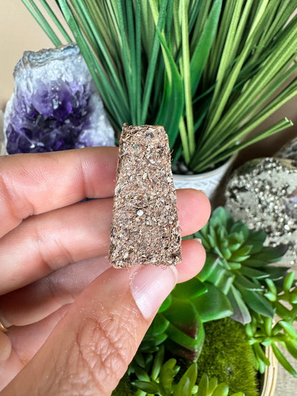 White Sage Cones - Purple Door Alchemy