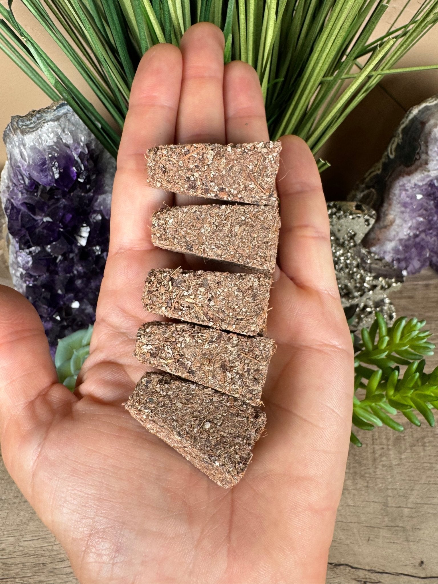 White Sage Cones - Purple Door Alchemy